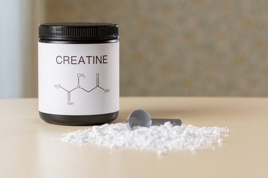 Hoelang kan je Creatine veilig gebruiken?