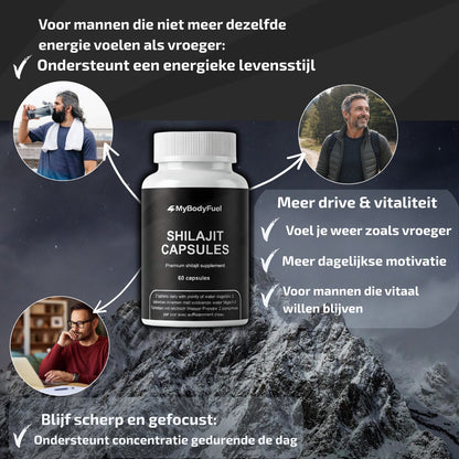 Shilajit 500 mg - 60 capsules